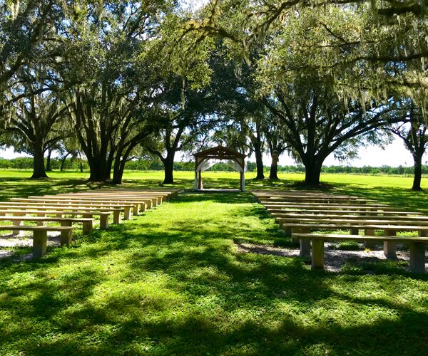 A grassy field with benches and trees in the background.